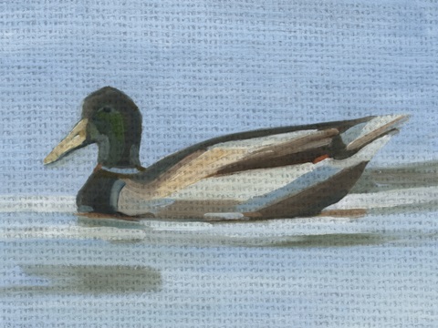 Quilted Duck II