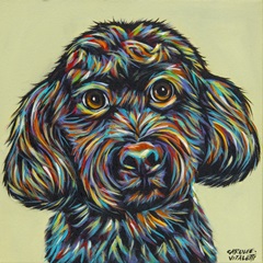 Black Colorful Doodle