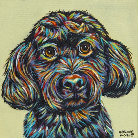 Black Colorful Doodle