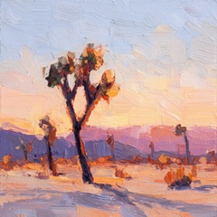 Desert Sky at Joshua Tree I
