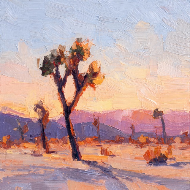 Desert Sky at Joshua Tree I