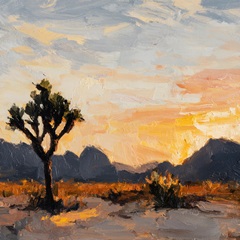 Desert Sky at Joshua Tree II