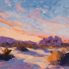 Desert Sky at Joshua Tree III