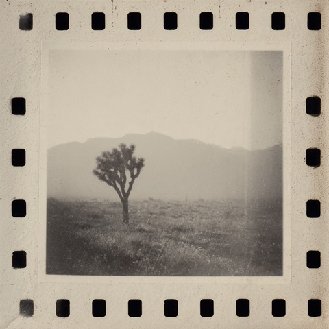 Joshua Tree Memories II