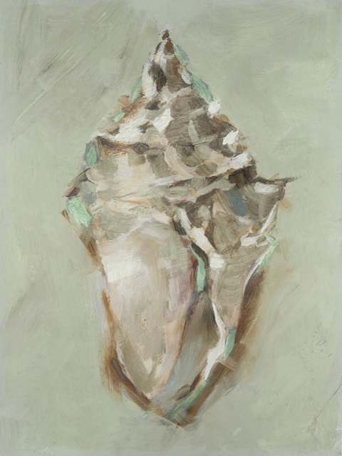 Aqua Shell Study I
