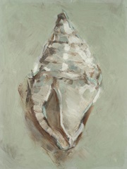 Aqua Shell Study III