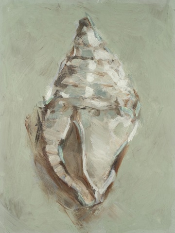 Aqua Shell Study III