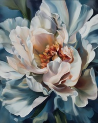 Peony Echos II