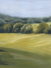 View off the Veranda I