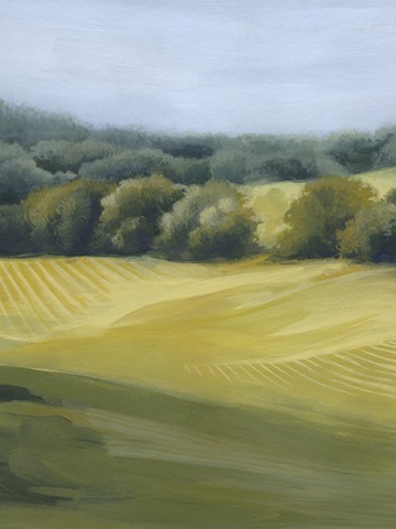 View off the Veranda I