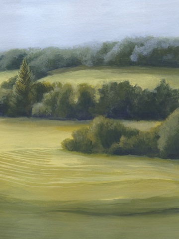 View off the Veranda II