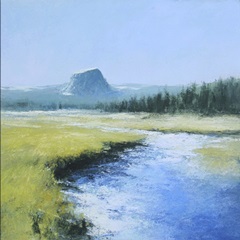 Western River Stream I