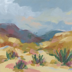 Desert Vista I