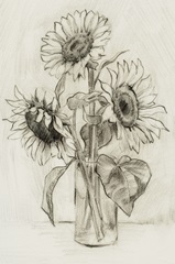 Sunflowers in a Vase Sketch l