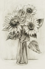 Sunflowers in a Vase Sketch ll