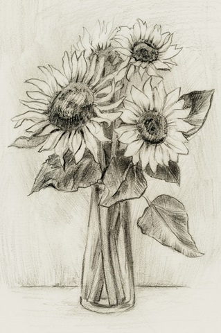 Sunflowers in a Vase Sketch ll