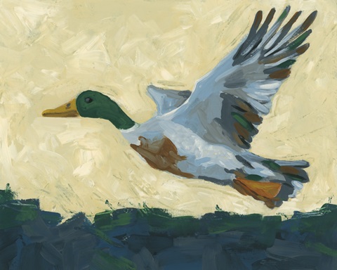 Mallard in Flight II