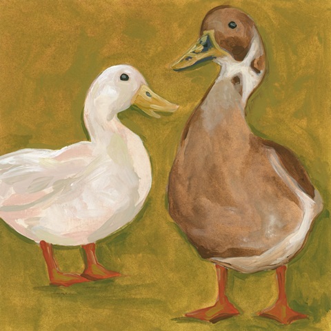 Naive Duck Pair I