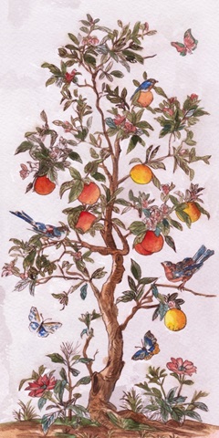 Citrus Aviary I