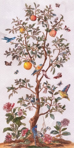 Citrus Aviary II