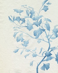 Watercolor Ginkgo II