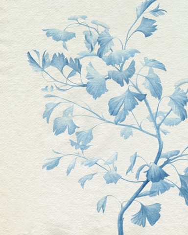 Watercolor Ginkgo II