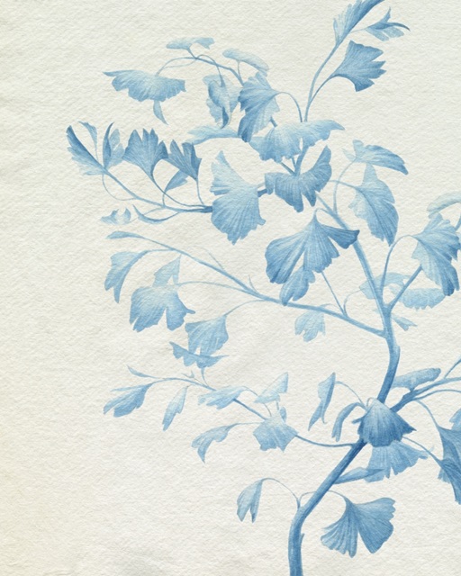 Watercolor Ginkgo II