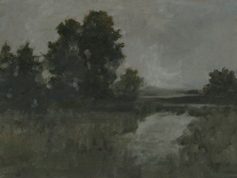 Moody Marsh I