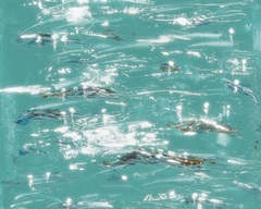 Sunlight Sprinkles I