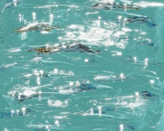 Sunlight Sprinkles II