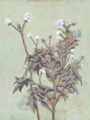 Flourishing Wildflowers I