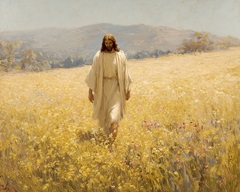 The Shepards Love II