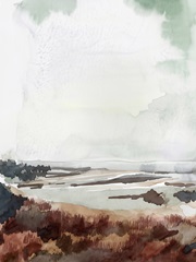 Coastal Inlet Study IV