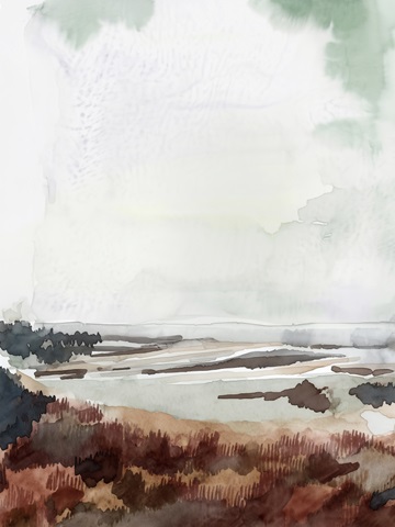 Coastal Inlet Study IV